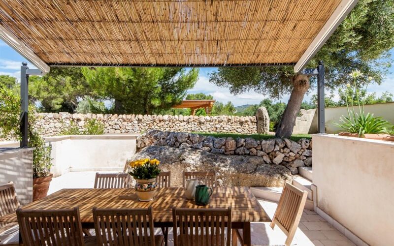 Olive Tree House